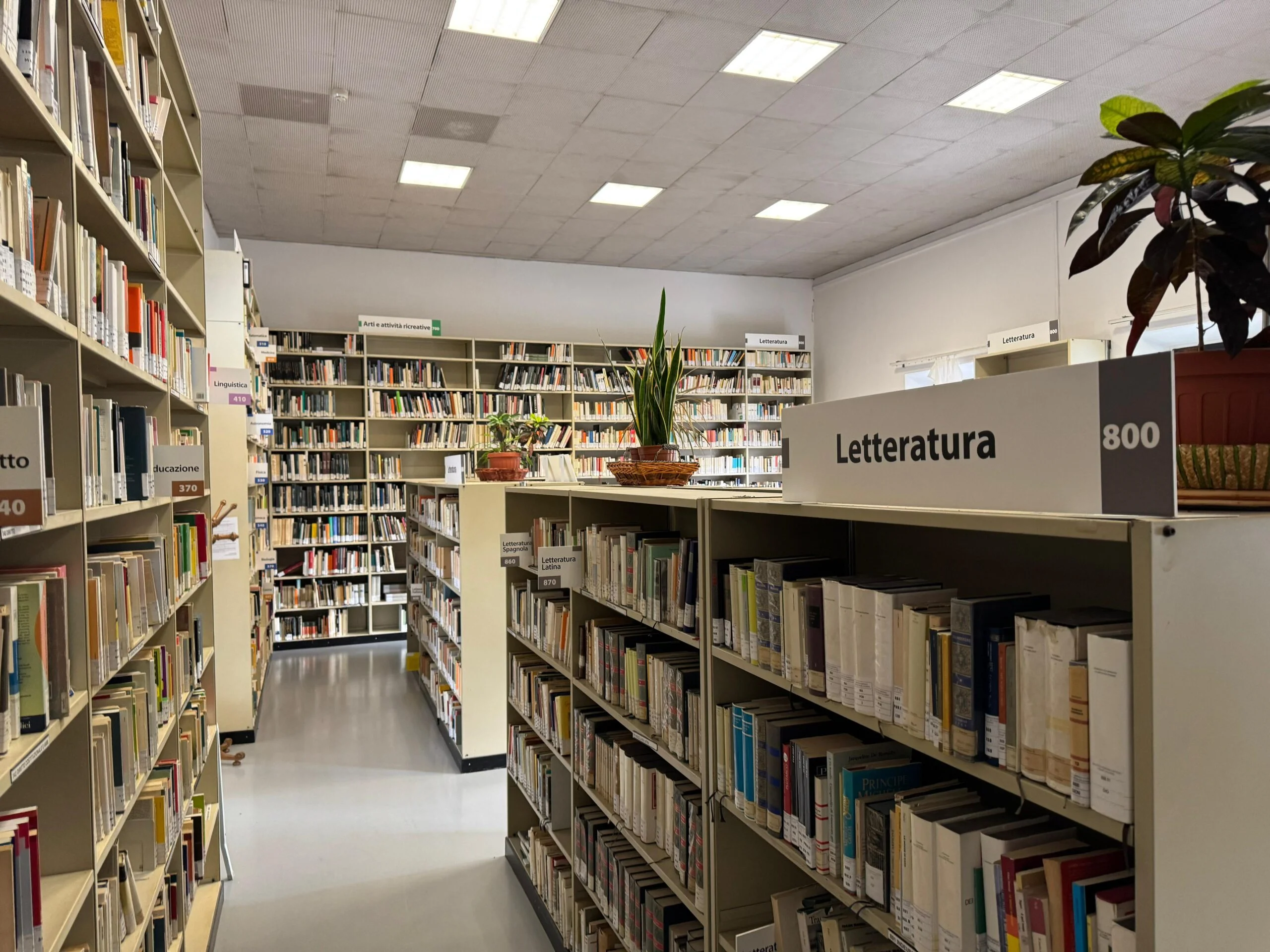 Primavera in Biblioteca 2025: A Figline e Incisa Torna la Rassegna per Tutti gli Amanti della Lettura