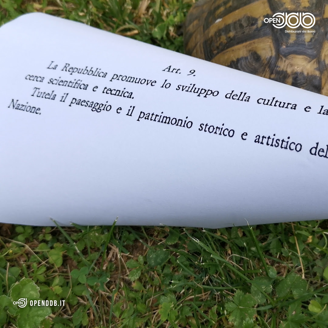 La Legge di Flavia Mastrella: La Costituzione Italiana Recitata dagli Animali Ora in Streaming