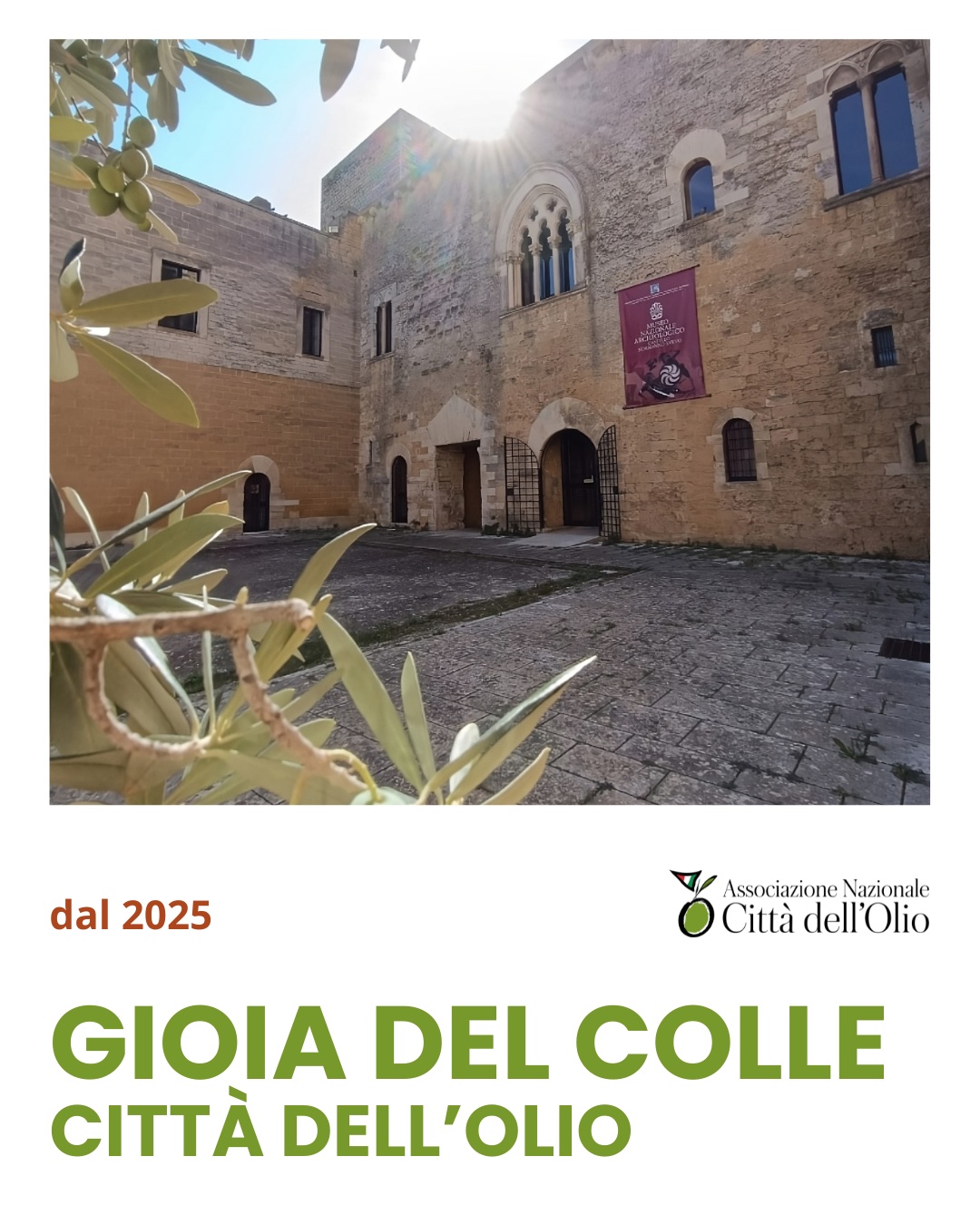 Gioia del Colle Entra tra le “Città dell’Olio”: La Cultura dell’Extravergine Protagonista in Puglia