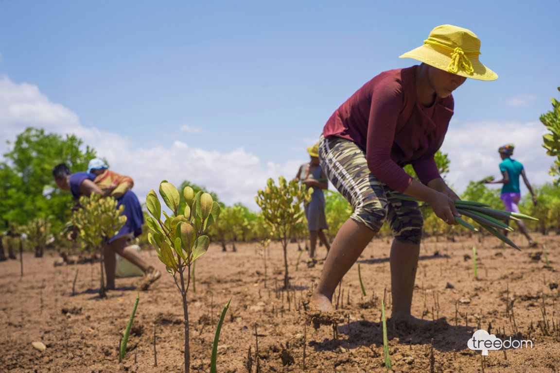 Giornata della Terra 2025: Treedom Triplica l’Impegno per il Pianeta