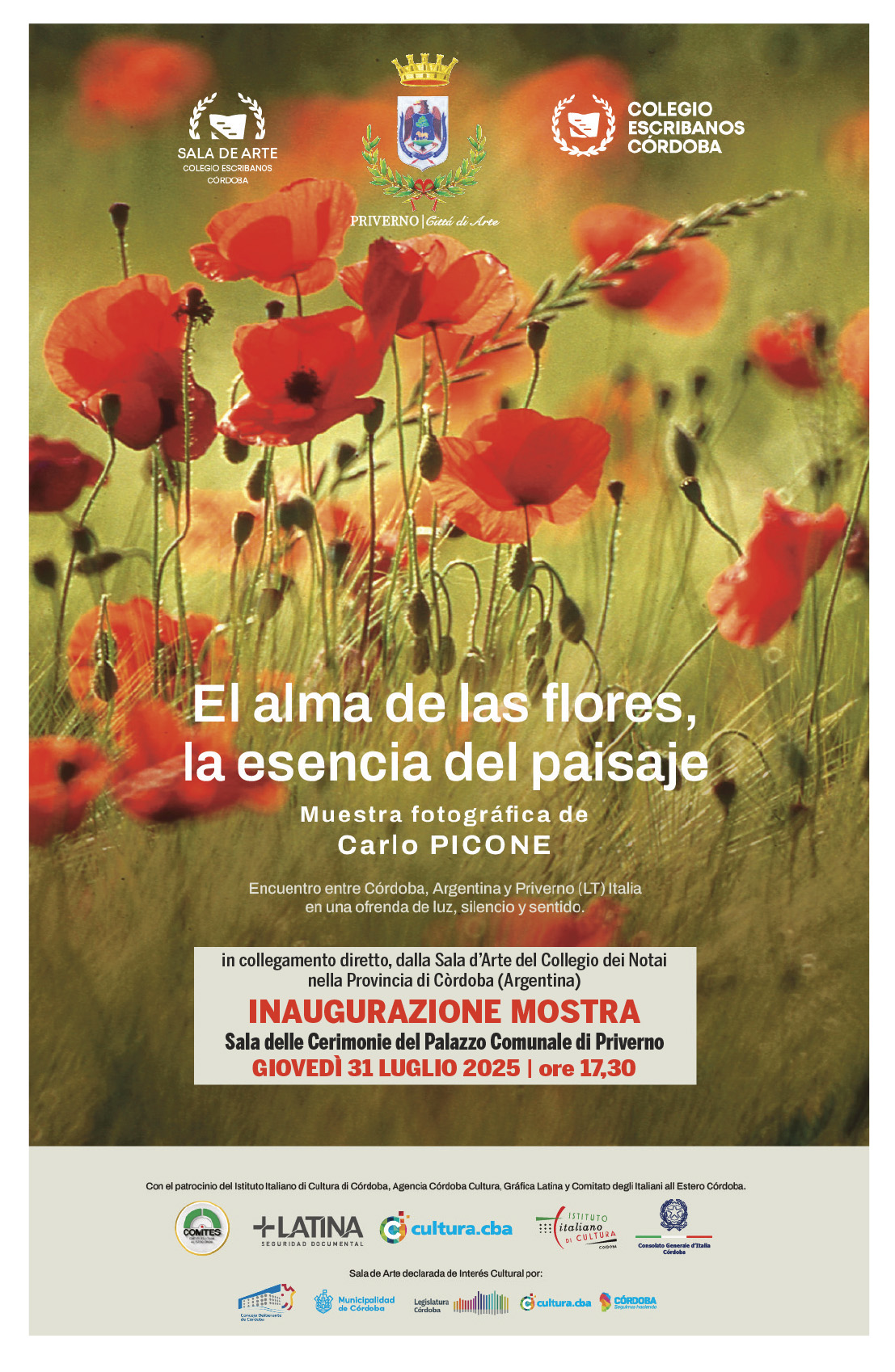 Carlo Picone in Mostra tra Italia e Argentina: l’Anima dei Fiori Unisce Due Mondi