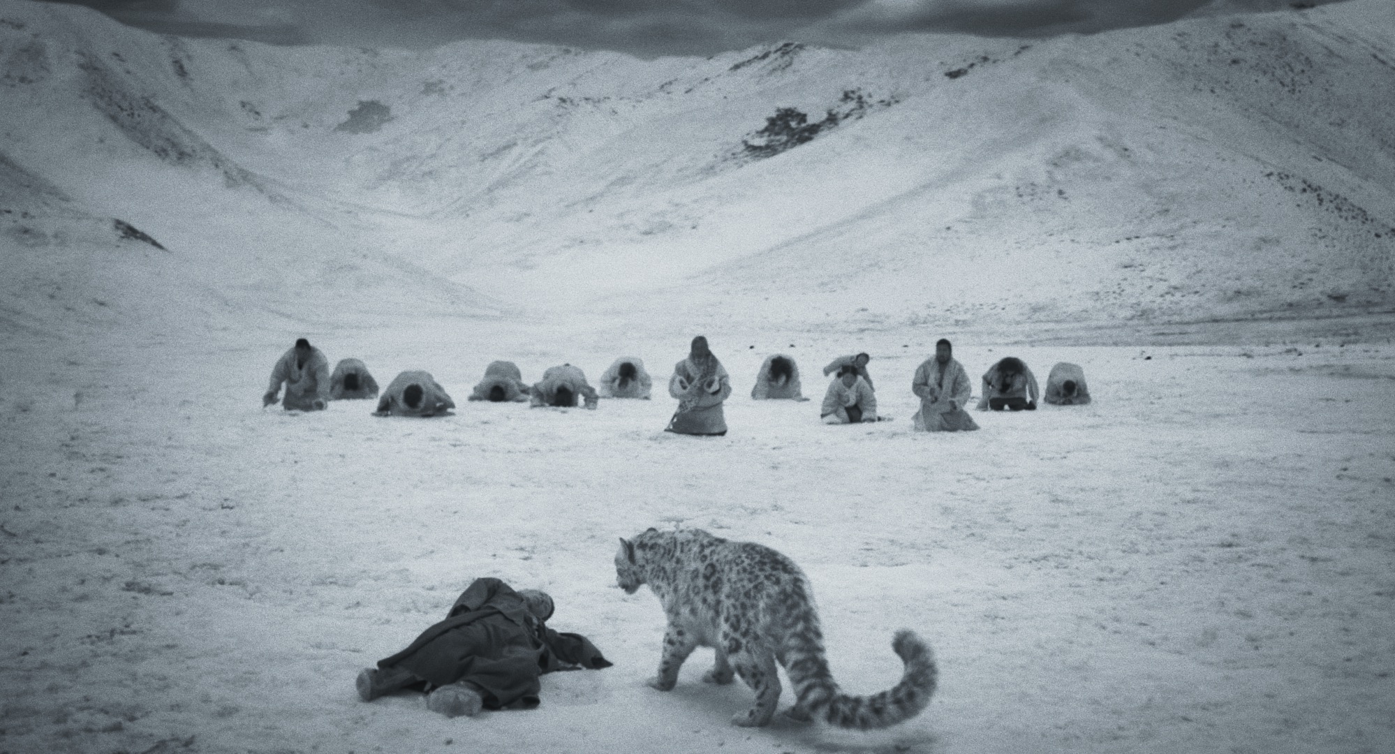 “Snow Leopard”: Il Tibet Contemporaneo Protagonista ad Apriti Cinema con il FánHuā Chinese Film Festival