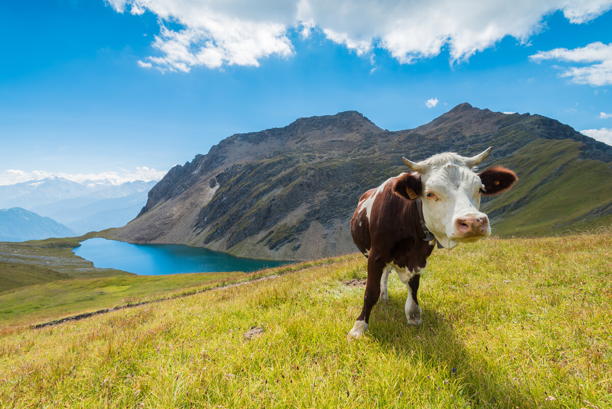 Luglio in Valle d’Aosta: Tradizione, Sapori e Natura per Tutta la Famiglia
