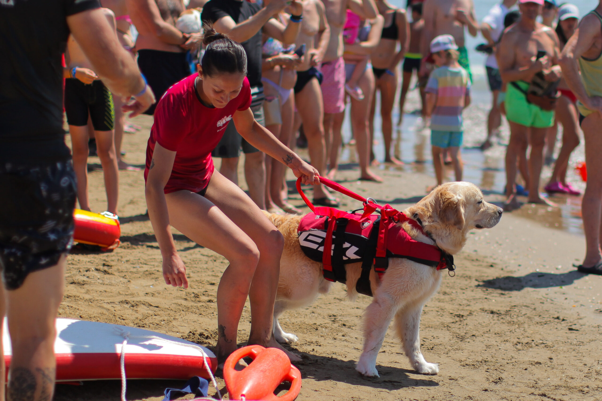 BauWatch: in Croazia un weekend con i cani bagnini per la Giornata Mondiale del Cane