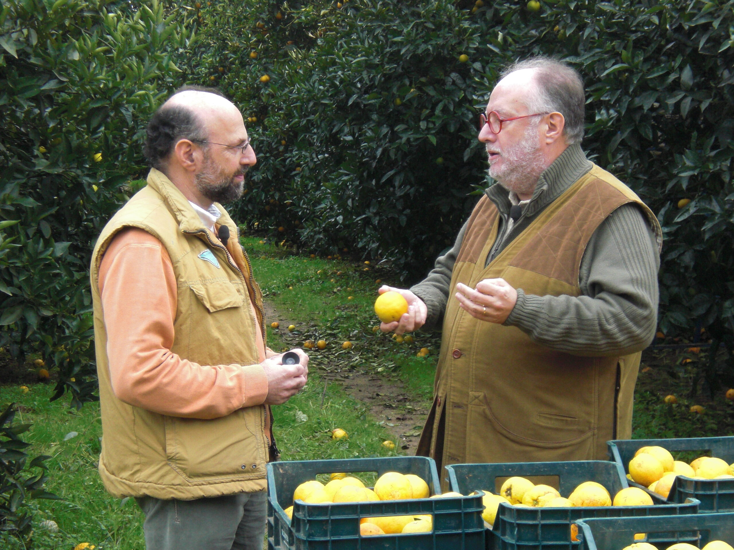 Gli agrumi di Puglia protagonisti su Canale 5 con Edoardo Raspelli